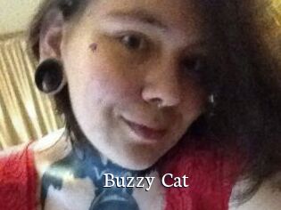 Buzzy_Cat