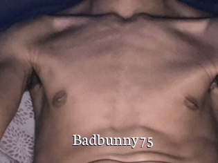 Badbunny75