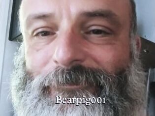 Bearpig001