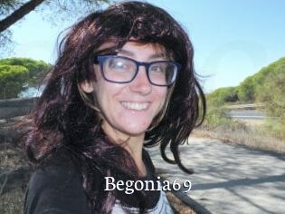 Begonia69