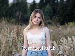 Berniecelittleb