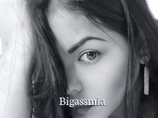 Bigassmia
