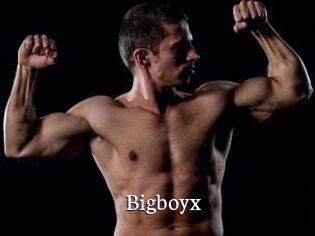 Bigboyx