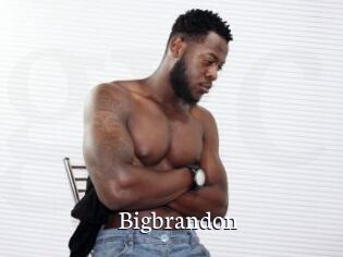 bigbrandon Gratis xxx Clips