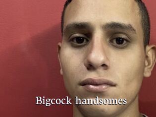 Bigcock_handsomes