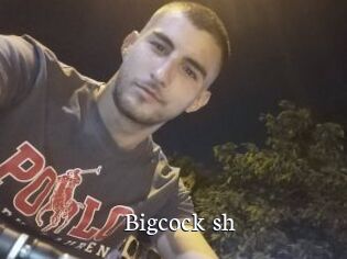 Bigcock_sh