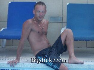 Bigdick22cm