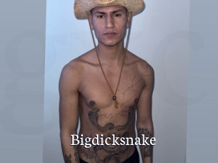 bigdicksnake Gratis xxx Clips