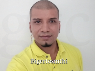 Bigertosmthi