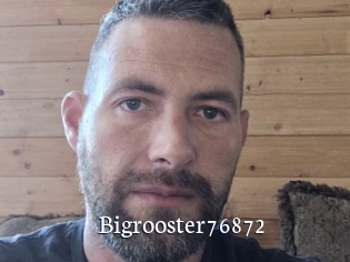 Bigrooster76872