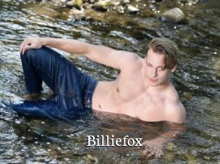 Billiefox
