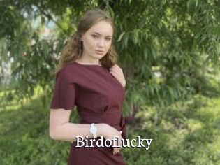 Birdoflucky