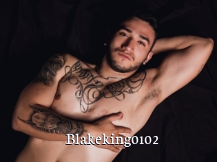 Blakeking0102