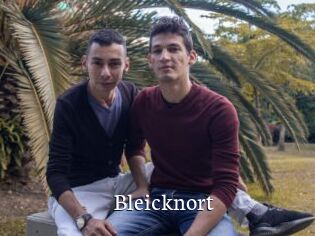 Bleicknort