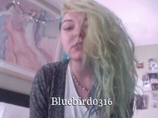 Bluebird0316