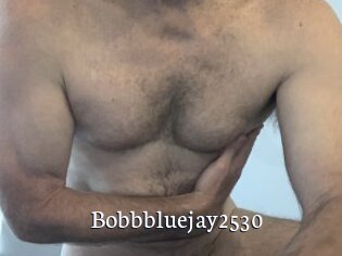 Bobbbluejay2530