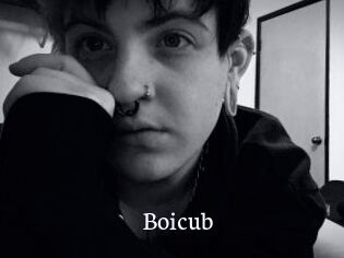 Boicub