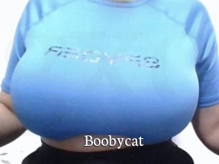Boobycat