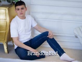 Brandonbud
