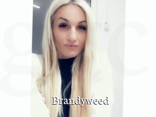Brandyweed
