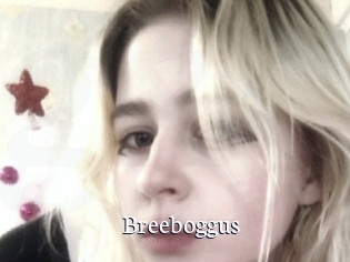 Breeboggus