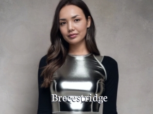 Breeestridge
