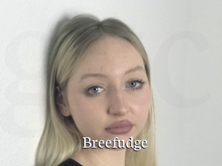 Breefudge