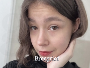 Breegrief