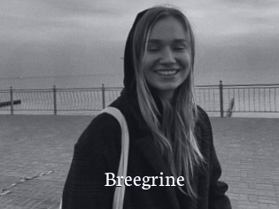 Breegrine
