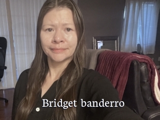 Bridget_banderro