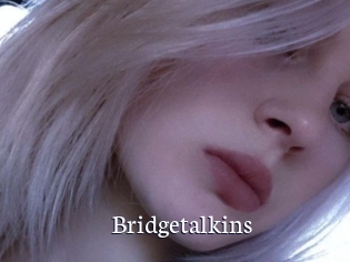 Bridgetalkins