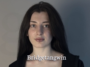Bridgetangwin