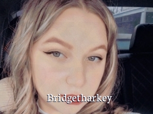 Bridgetharkey