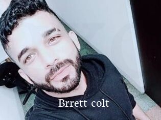 Brrett_colt