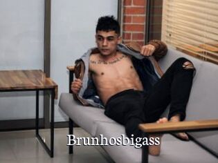 Brunhosbigass