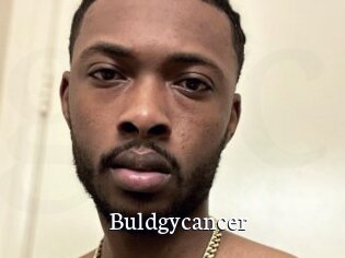 Buldgycancer