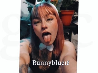 Bunnyblue18