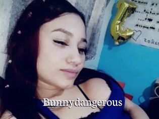 Bunnydangerous