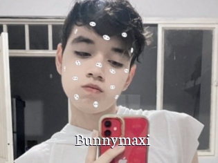 Bunnymaxi
