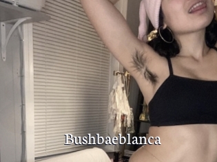 Bushbaeblanca
