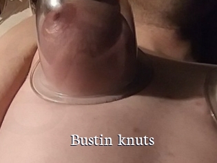 Bustin_knuts