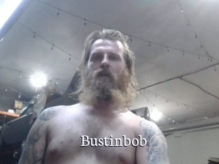 Bustinbob