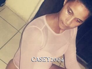 CASEY2004