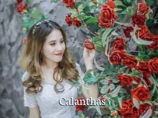 Calanthas