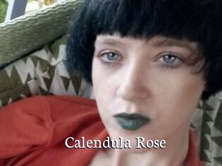 Calendula_Rose