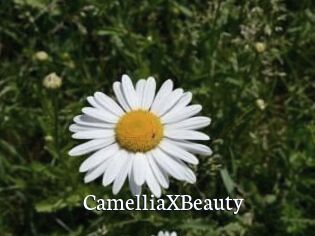 Camellia_XBeauty