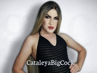 CataleyaBigCock