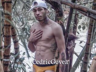 CedricGovea