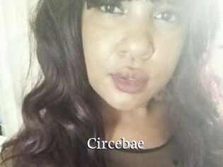 Circebae