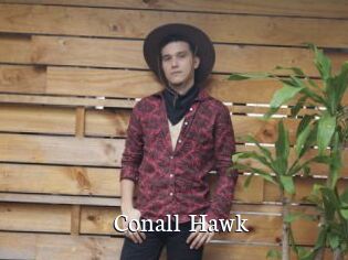 Conall_Hawk
